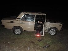 Пассажир ВАЗ госпитализирован после столкновения со столбом на Орел – Тамбов