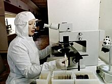 Экономист рассказал, какие отрасли ждет кадровый голод