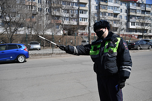 В СФ поддержали введение цифровых пропусков в Москве