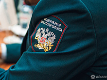 ФНС России начала новую налоговую проверку блогера Лерчек