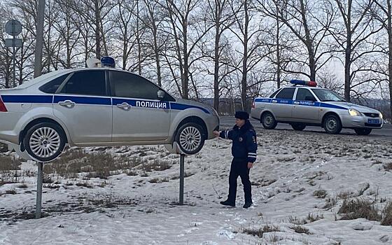 В Рязанской области вдоль дорог установили муляжи патрульных автомобилей