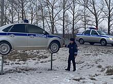 В Рязанской области вдоль дорог установили муляжи патрульных автомобилей