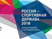 Ульяновск примет юниорское первенство мира по хоккею с мячом