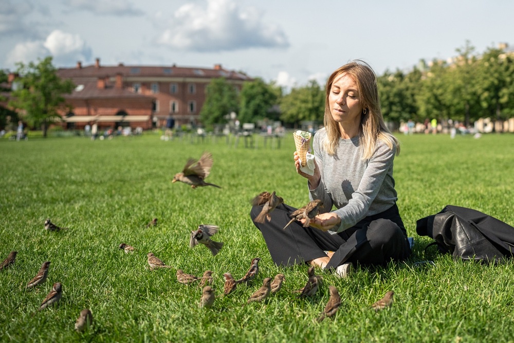 В России завершилась перепись воробьев, которая стартовала два года назад