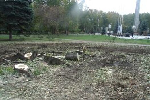 В Челябинске в Саду Победы безжалостно вырубили деревья