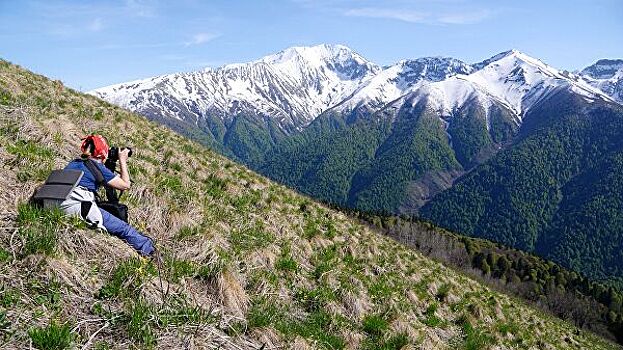 WWF рассказал, чем опасна прокладка дороги в Кавказском заповеднике