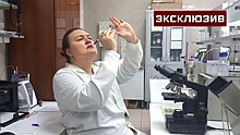 Эксперт Орлова рассказала о «кочующем» клеще