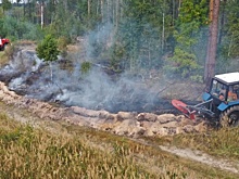 В Подмосковье ликвидировали один лесной пожар за минувшие выходные