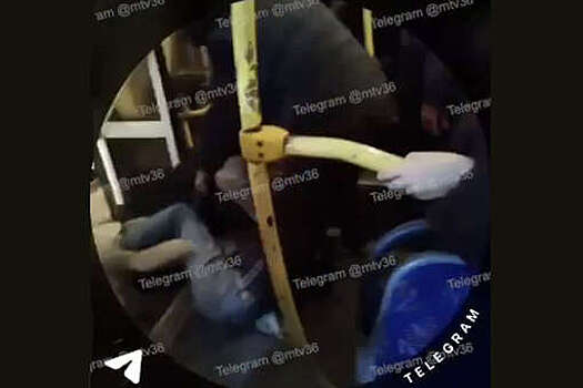 В Воронеже на видео попала драка пассажиров автобуса