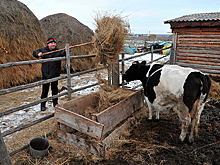 Экологи посоветовали уральцам не спасаться от радиации