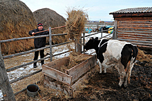 Экологи посоветовали уральцам не спасаться от радиации