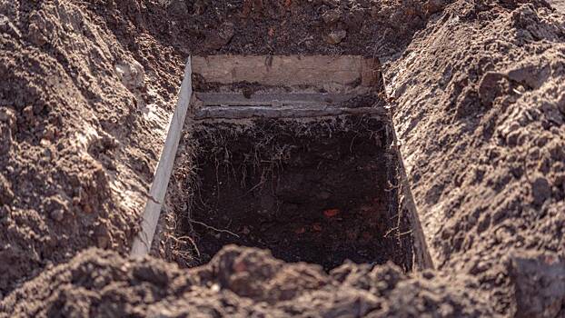 Дочь похоронила мать в конюшне, чтобы получать ее пенсию