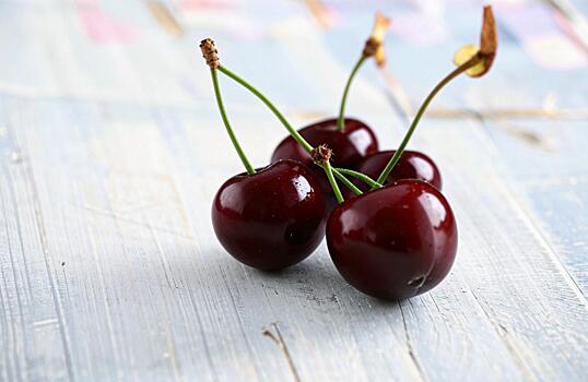 Эксперт поделилась рекомендациями по выбору сортов вишни для Сибири