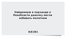 Найденную в подъезде в Ленобласти девочку могли избивать молотком