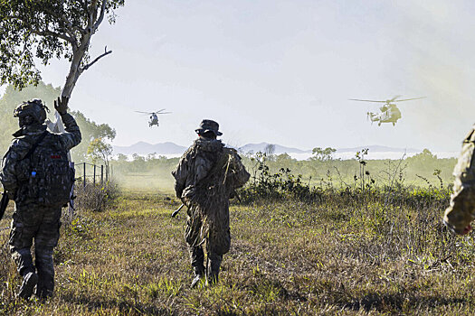 «Больницы Харькова забиты французами»: НАТО незаметно отправляет свой контингент на Украину