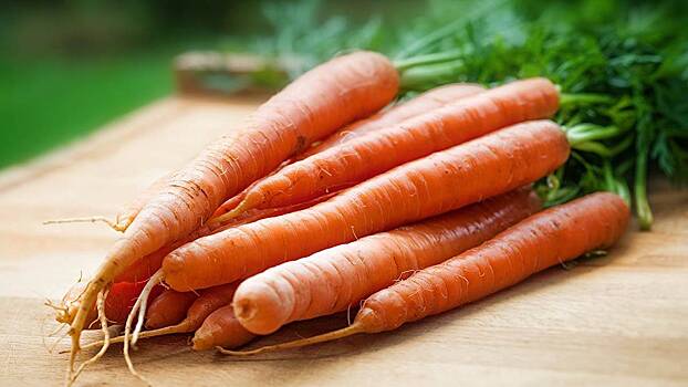 Раскрыта способность моркови снижать уровень холестерина