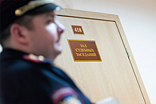Петербуржца отправили в колонию за оскорбление чиновников