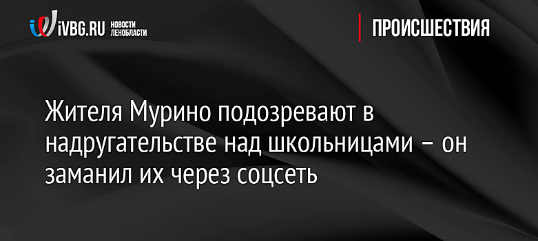 Жителя Мурино подозревают в надругательстве над школьницами – он заманил их через соцсеть