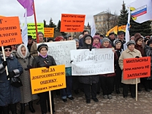 Псковские садоводы вышли на митинг против роста земельного налога