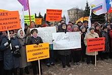 Псковские садоводы вышли на митинг против роста земельного налога