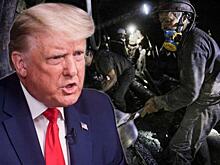 Трамп вынесет из Украины все, что возможно – и мозг Зеленскому тоже