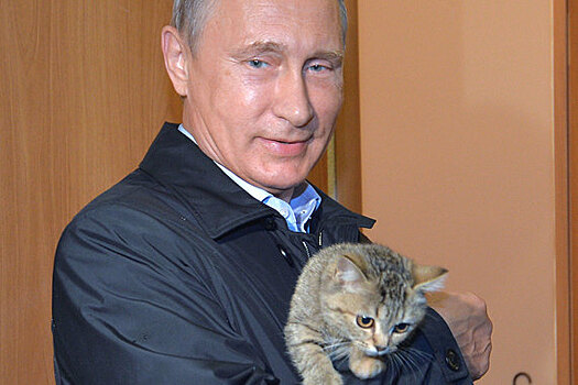 Владимир Путин призывает россиян поторопиться с новосельем