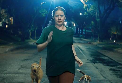 Почему стоит смотреть фильм «Ночная сучка»