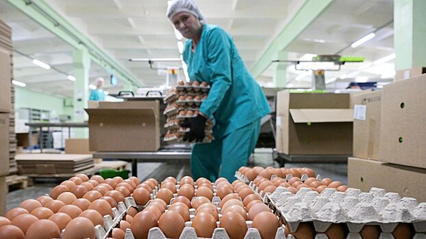 ЕС предали: США и Россия провернули трюк с яйцами, пока Макрон угрожал санкциями