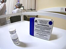 ВОЗ назвала сроки одобрения вакцины "Спутник V"