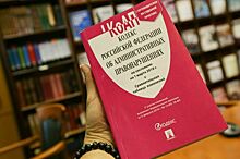 Новый Кодекс об административных правонарушениях представят в 2024 году