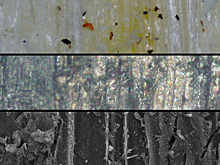 Из древесной стружки и пластиковых отходов получили углеродные адсорбенты