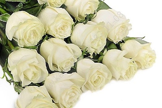 Россельхознадзор в Подмосковье выявил цветочный трипс в срезах роз из Кении