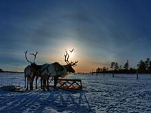 В Югре снизилась численность коренного населения. На Ямале и в Тюменской области динамика положительная