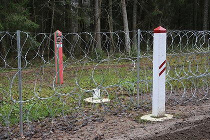В Белоруссии нашли труп на границе с Латвией