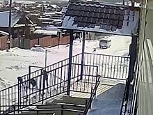 В Бурятии пьяный водитель сбил ребенка