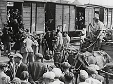 В украинском учебнике истории жертв Холокоста назвали «депортированными из Польши украинцами»