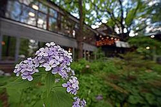 Места лишения природы