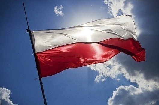 Эксперт объяснил, почему в Польше вырастет численность американских военных