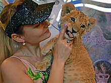 Дикие звери в России попали под санкции