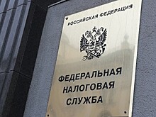 В Федеральной налоговой службе озаботились «теневыми» зарплатами россиян