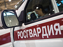 Посетители кафе на Ставрополье устроили драку с сотрудниками Росгвардии
