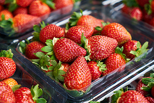 Врач назвал ягоду, снижающую риск нескольких видов рака