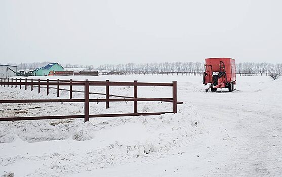 Плановая агрономика. Хроники белгородского экономического чуда