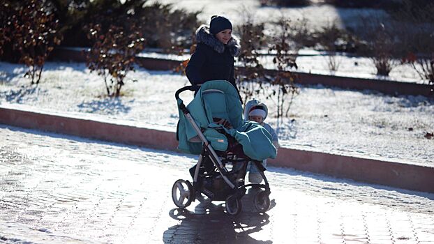 Госдума приняла закон о продлении программы маткапитала