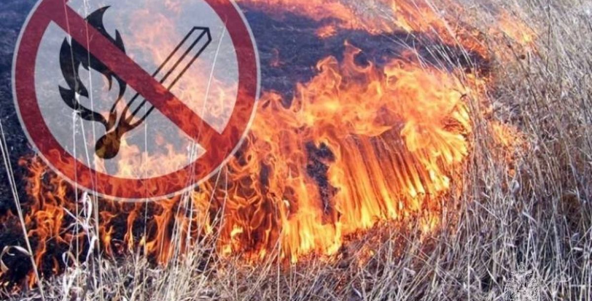 В Ростовской области участились случаи загораний сухой растительности и камыша