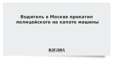 Водитель прокатил полицейского на капоте машины