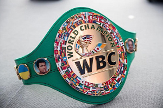 Постановления WBC: Смит претендует на пояс Бенавидеса, Макабу против Влодарчика