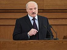 «Начало конца диктатора». Западные СМИ оценили положение Лукашенко в период предвыборной кампании