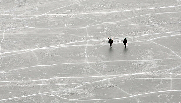Спасатели сняли со льдины в Финском заливе трех подростков
