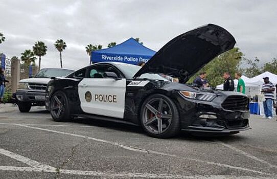Маслкар Ford Mustang переделали в полицейский автомобиль